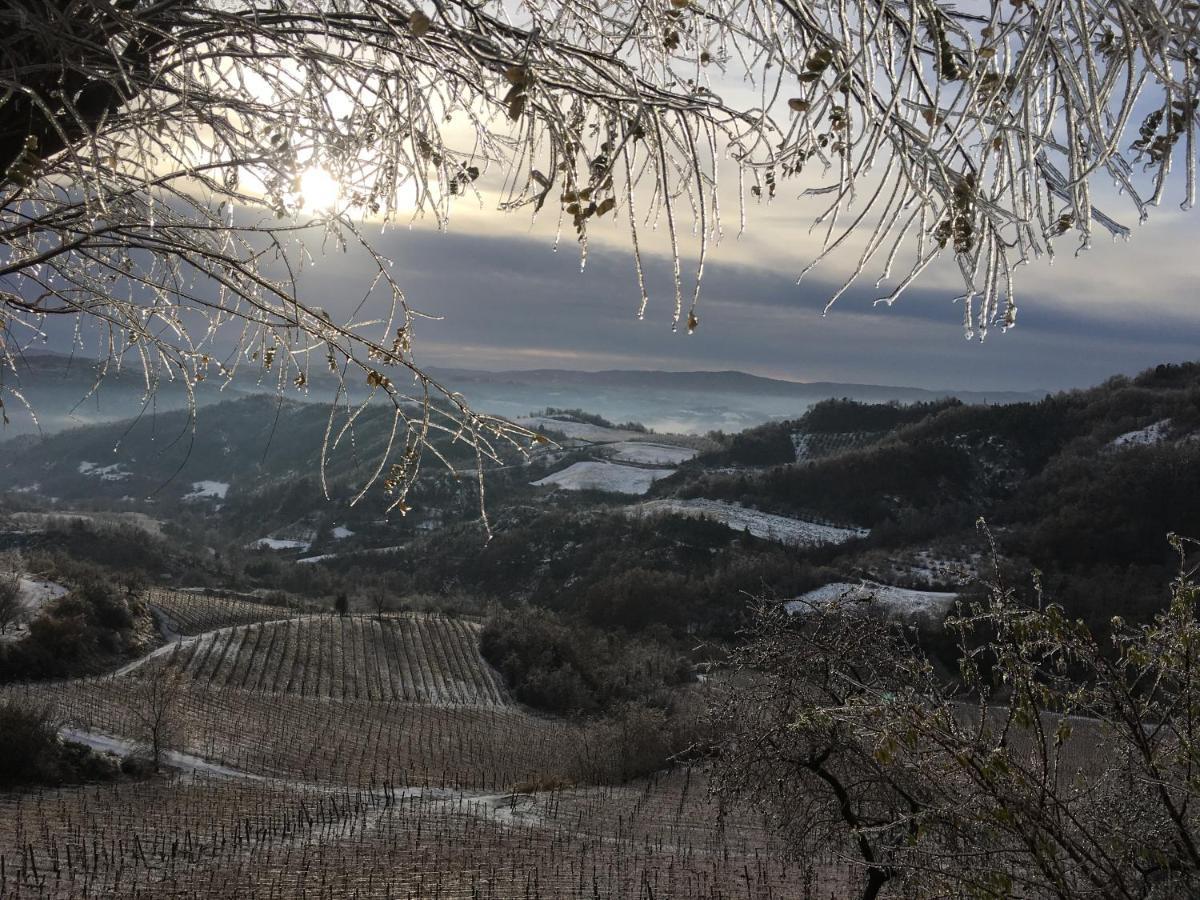 Cascina Bertolotto Wine * Spigno Monferrato