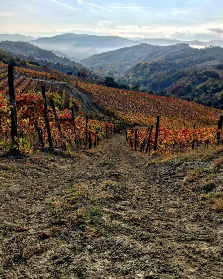 Cascina Bertolotto Wine Farm stay