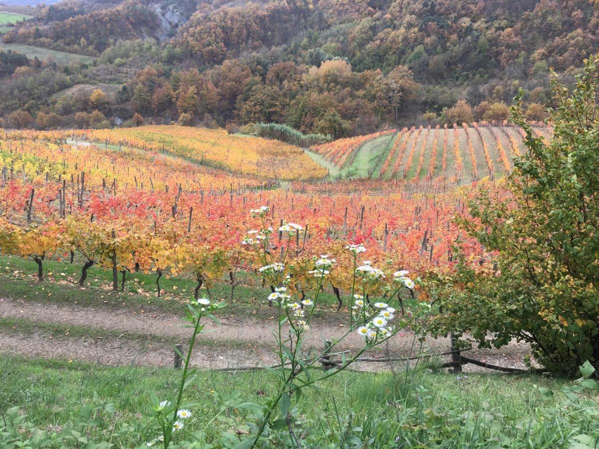 Cascina Bertolotto Wine Spigno Monferrato
