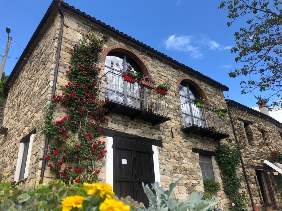 Farm stay Cascina Bertolotto Wine Spigno Monferrato