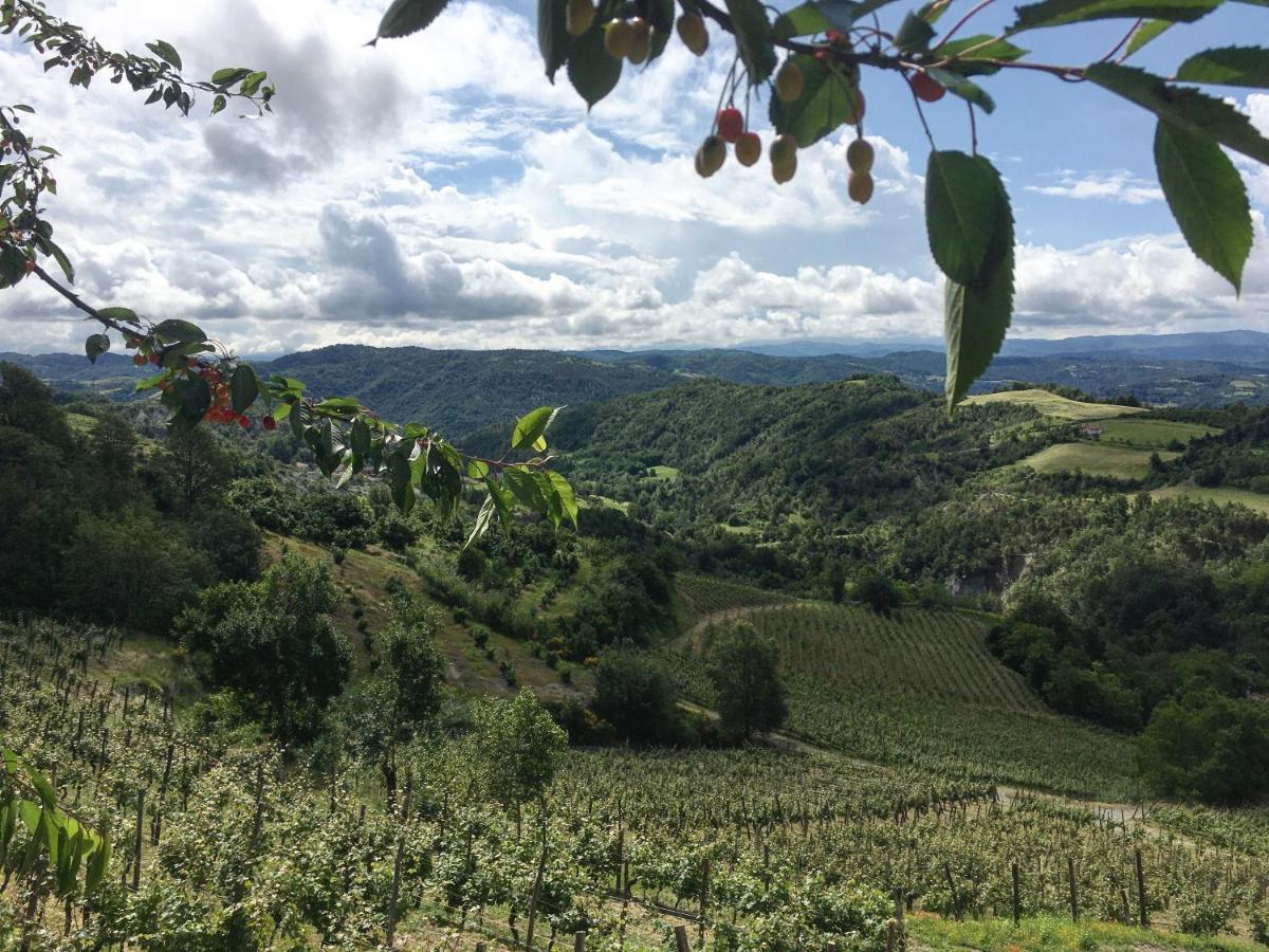 Farm stay Cascina Bertolotto Wine *