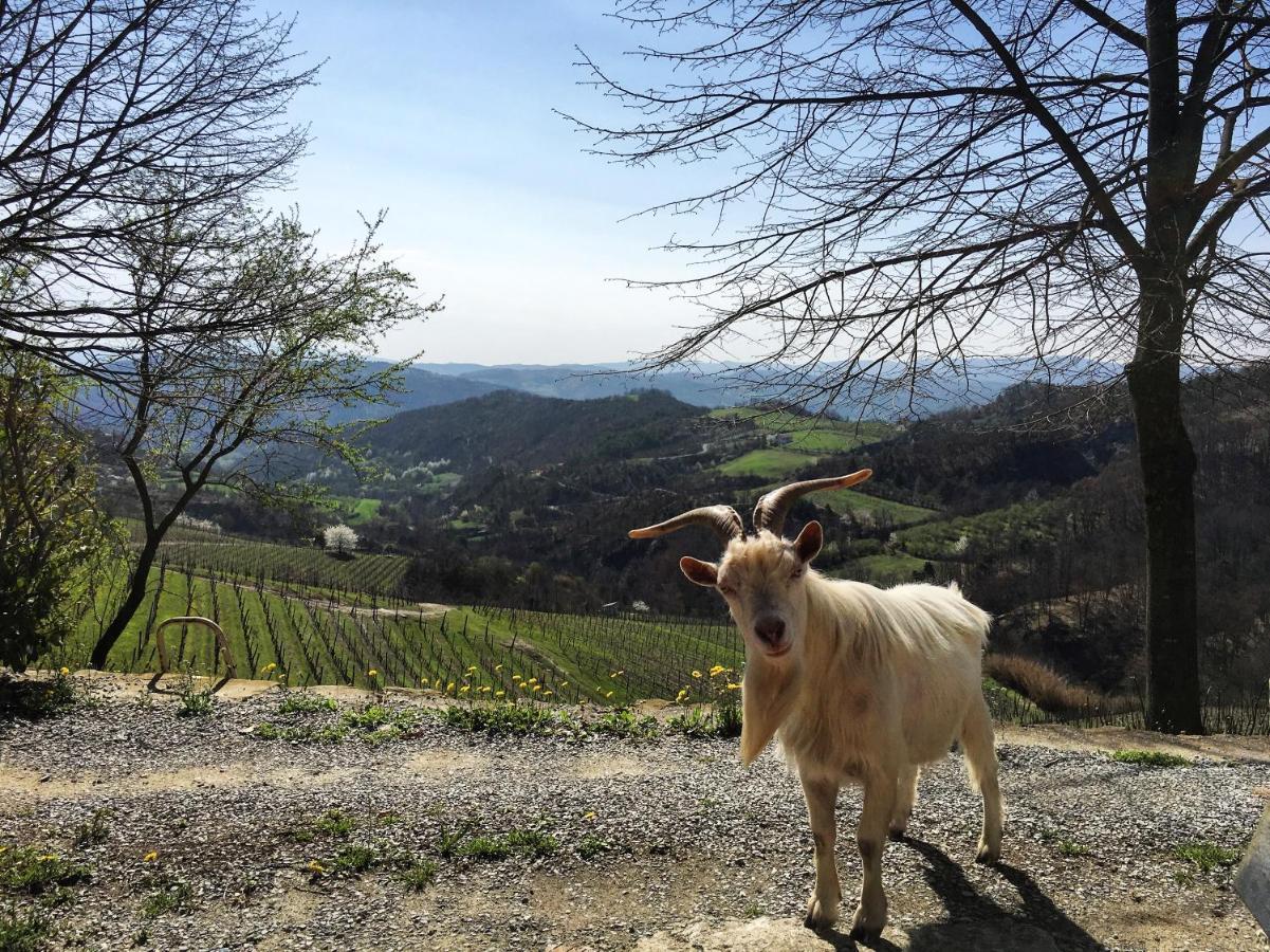 Farm stay Cascina Bertolotto Wine *