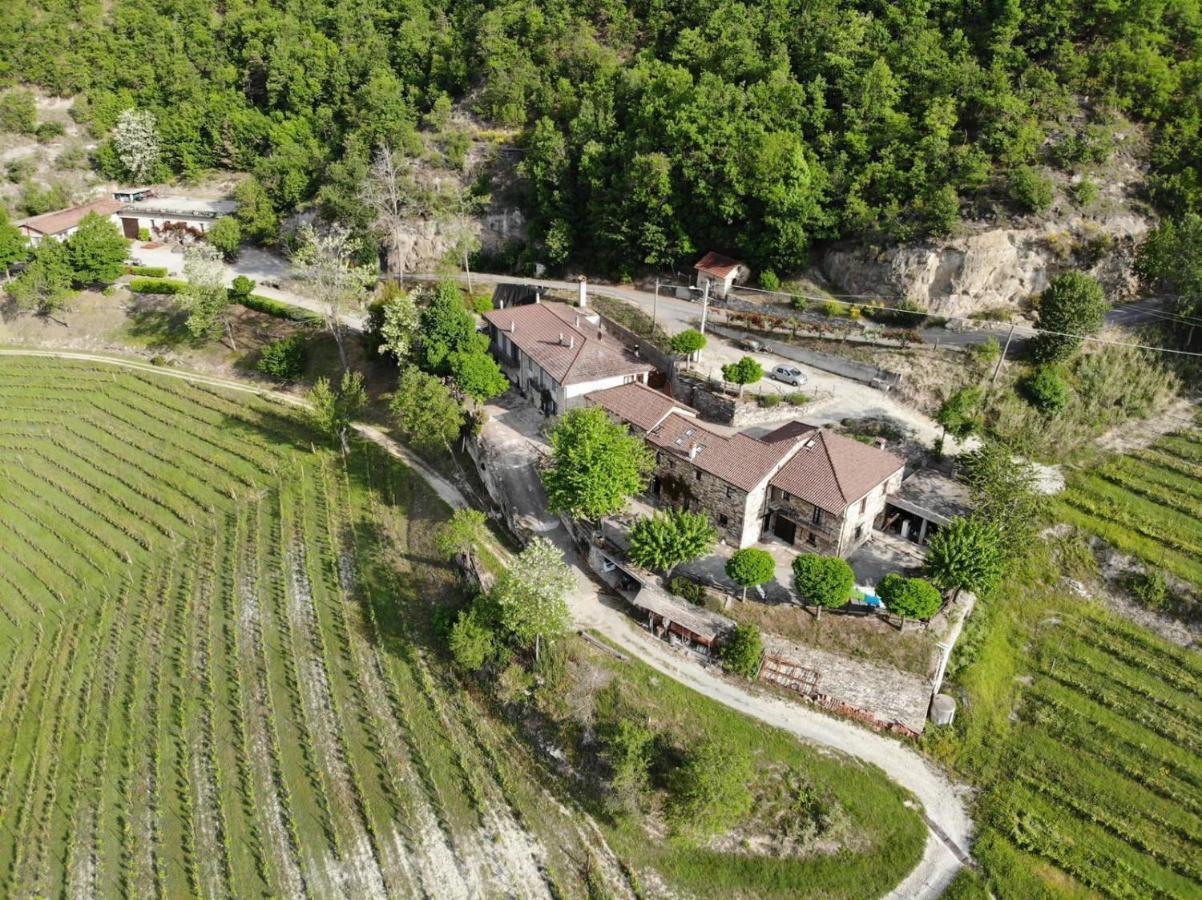 Cascina Bertolotto Wine * Spigno Monferrato