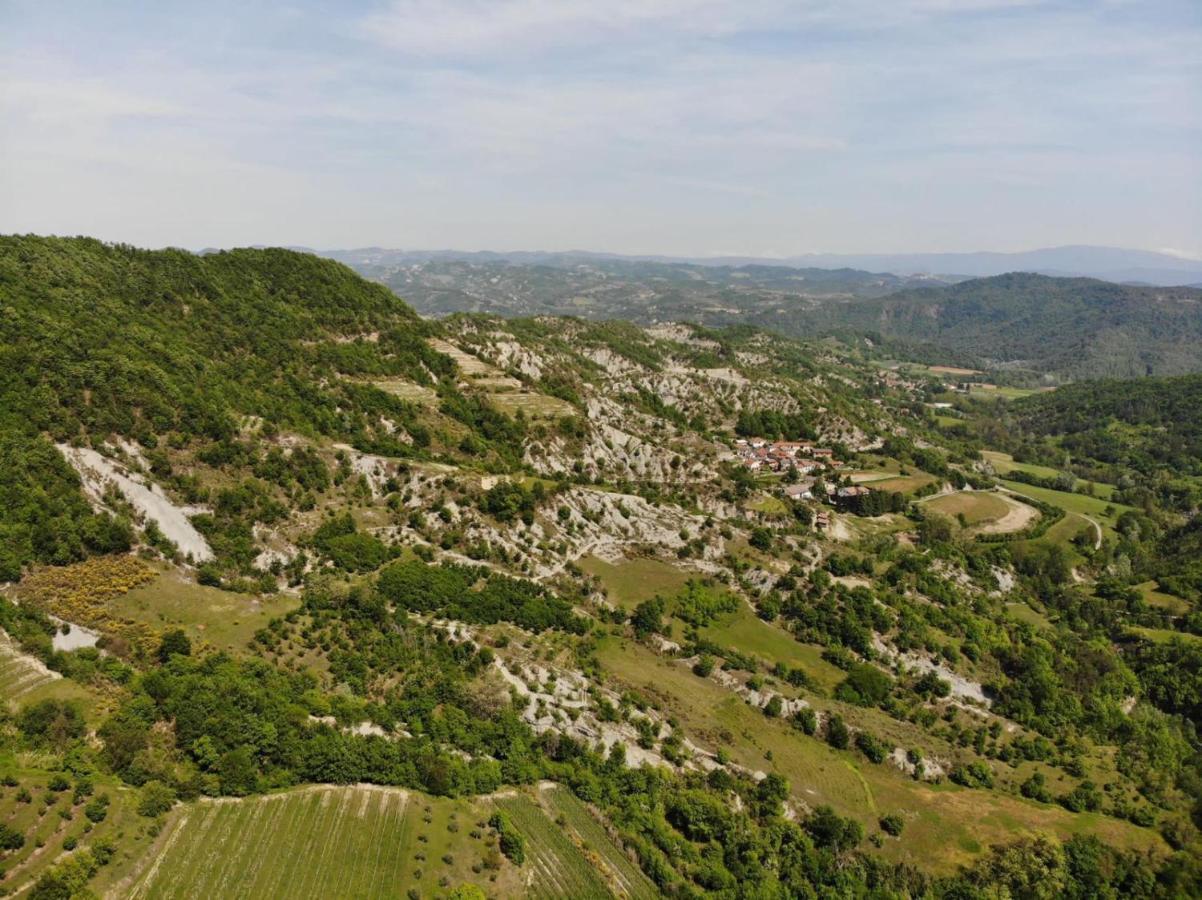 Cascina Bertolotto Wine Spigno Monferrato