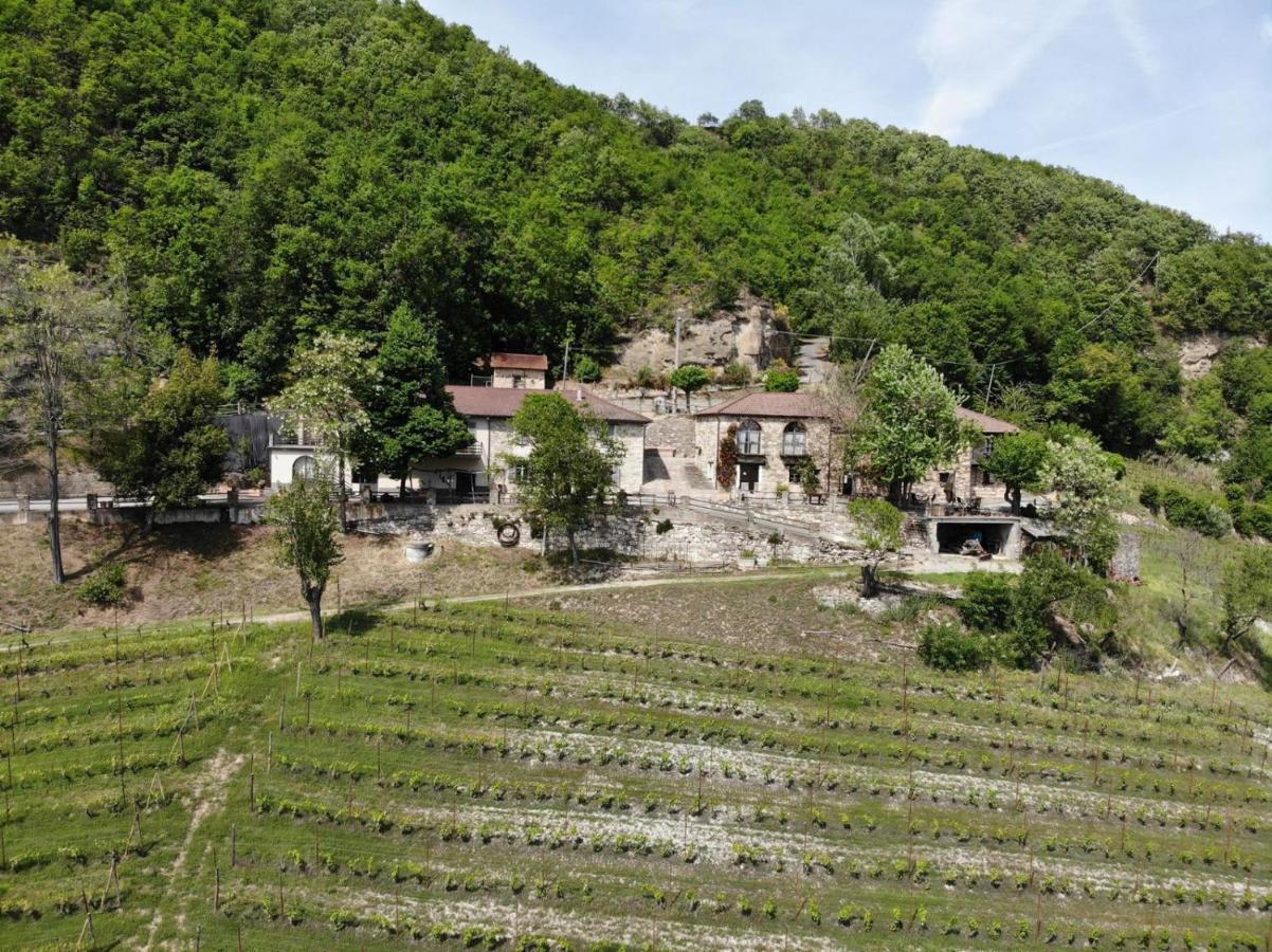 Cascina Bertolotto Wine Farm stay *