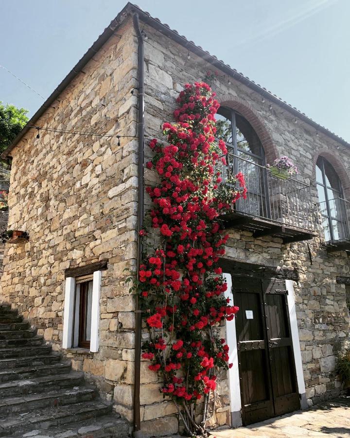 Cascina Bertolotto Wine Farm stay Spigno Monferrato